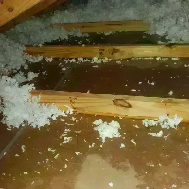 Attic Water Damage in Clovis, NM