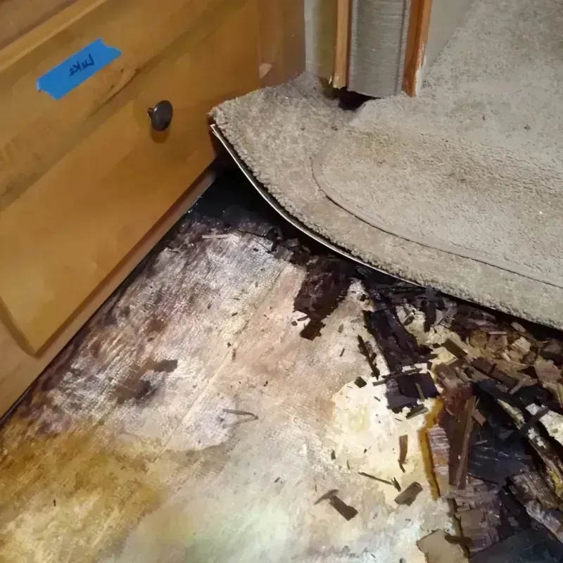 Wood Floor Water Damage in Clovis, NM